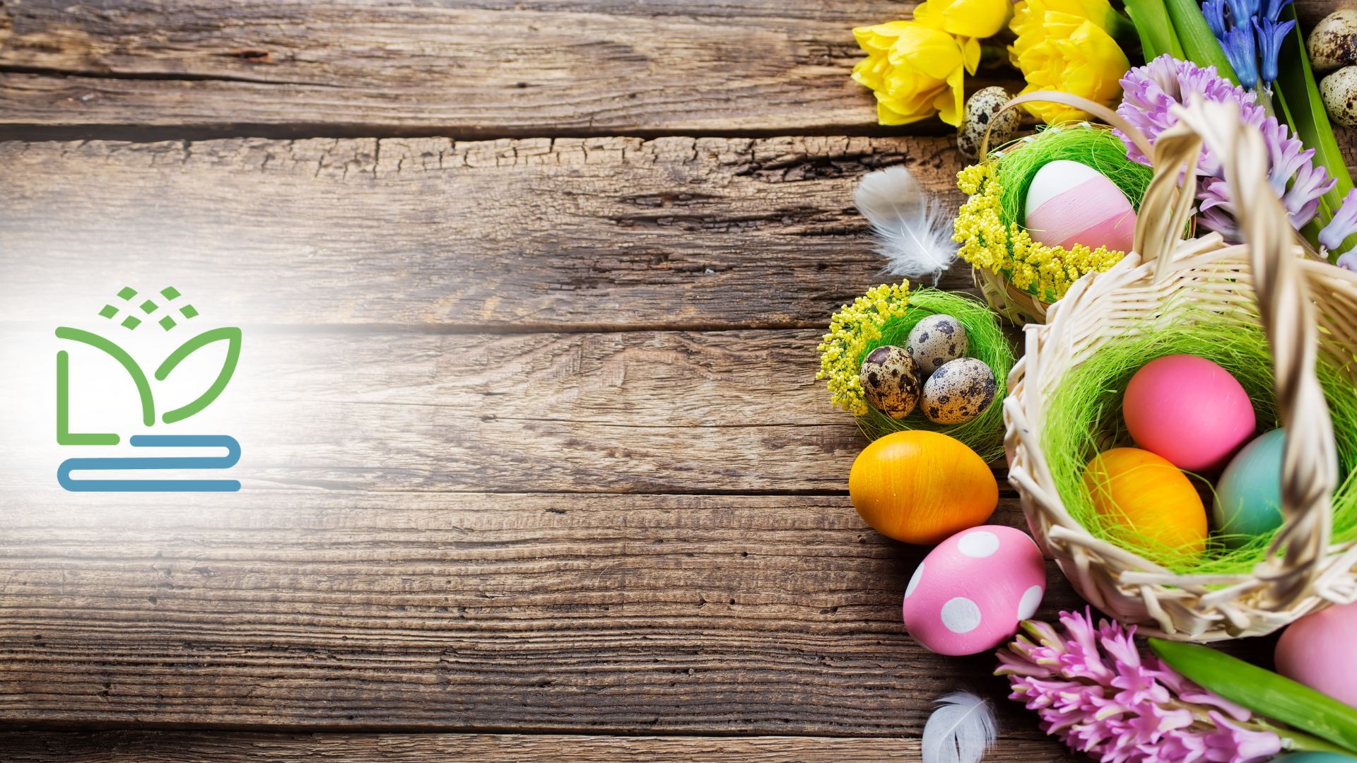 Osterseite Website vg Linz - 1