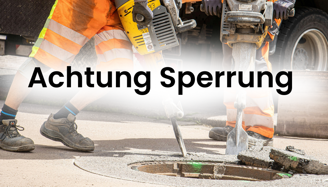 Kopie von Herr Rudolf Flesch - 1