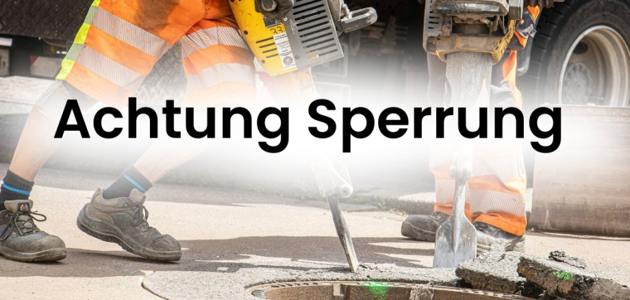 Kopie von Herr Rudolf Flesch - 1