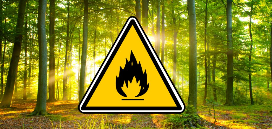Waldbrand - 1